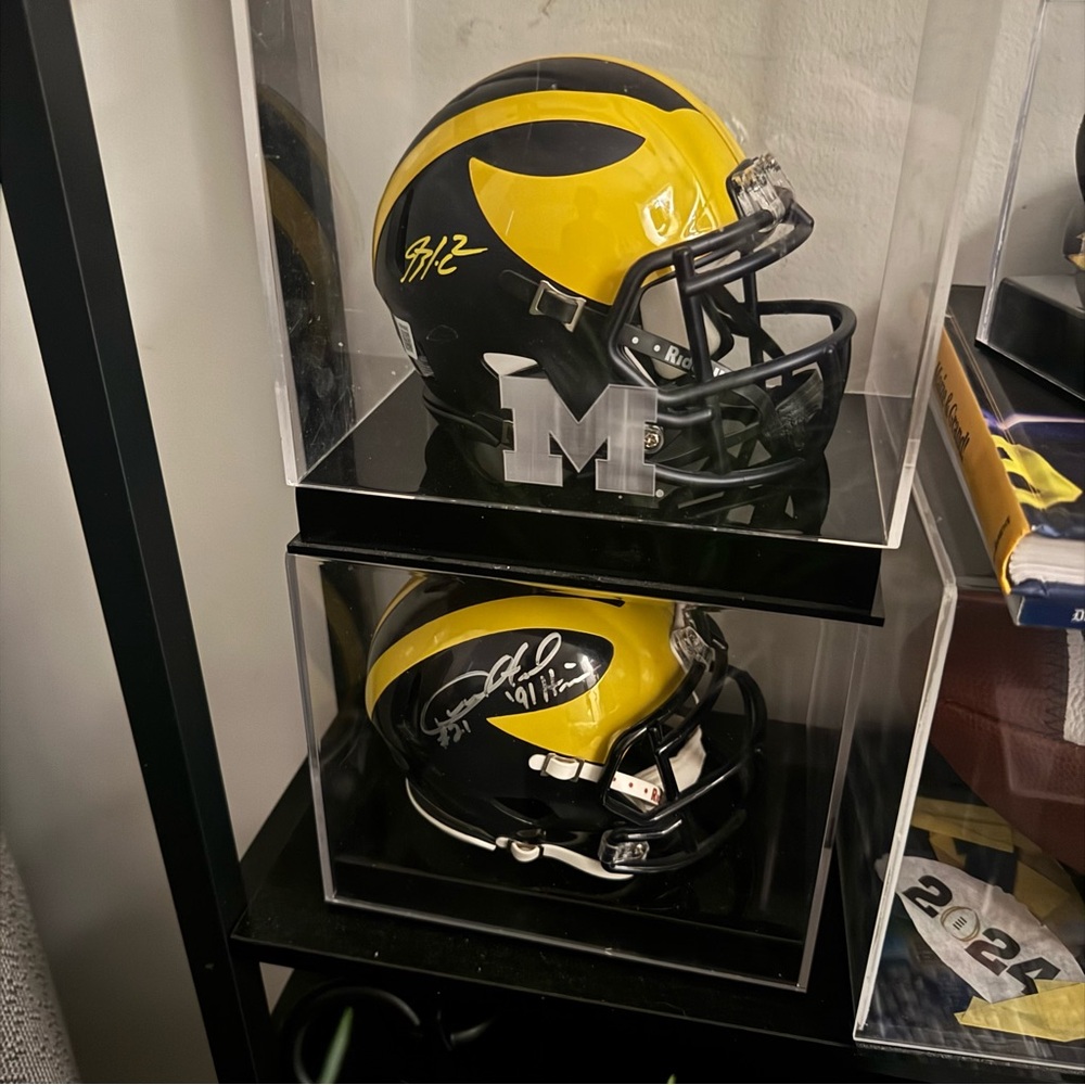 Michigan bundle - image 6